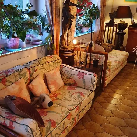 Homestay Le Cardinal *